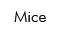 Mice