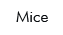 Mice